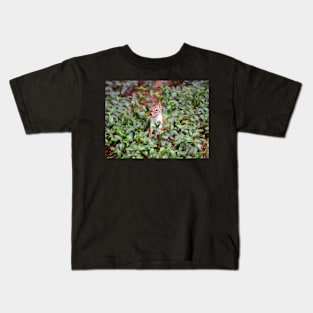 Baby Squirrel in Periwinkle Kids T-Shirt